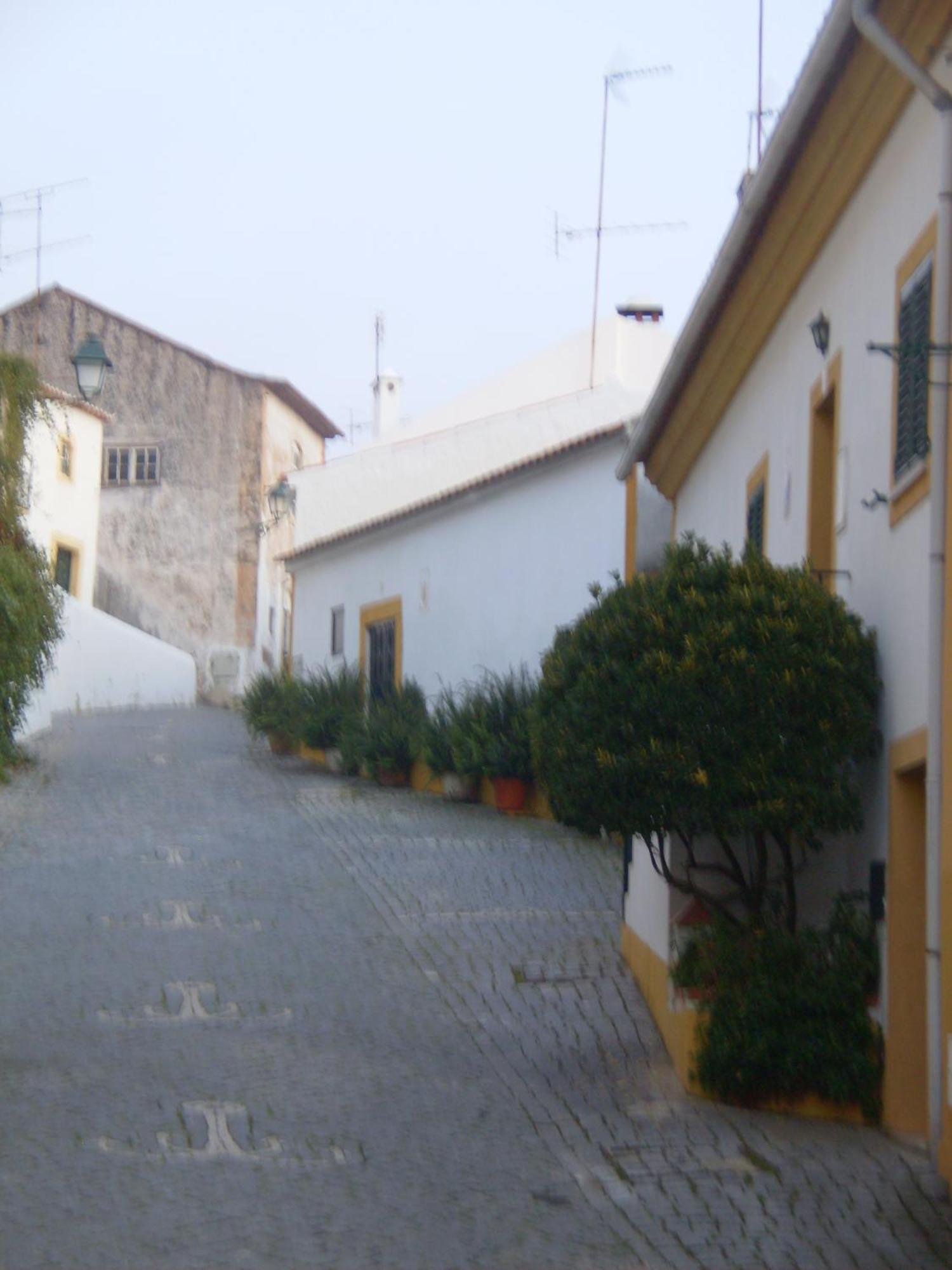 Casa Joao Chagas Guesthouse, Constancia, By Viva A Vida - Alojamentos E Hotels Buitenkant foto