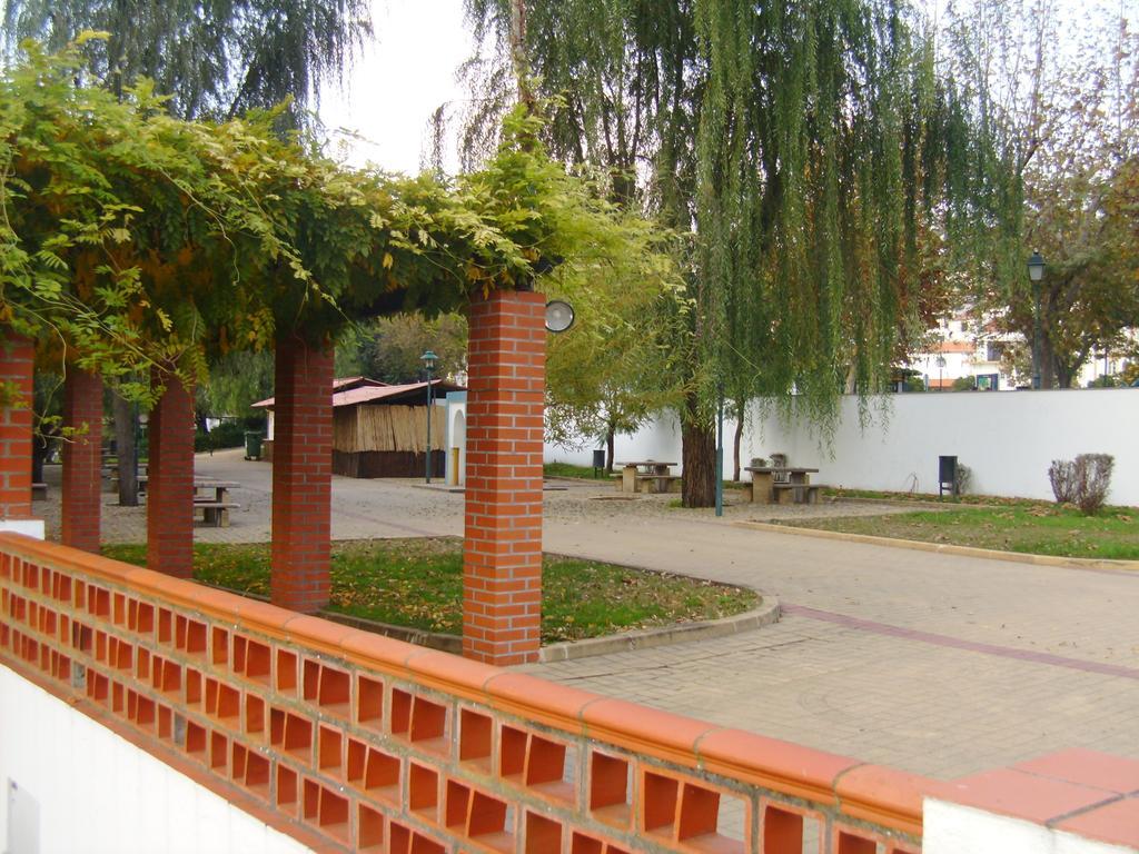 Casa Joao Chagas Guesthouse, Constancia, By Viva A Vida - Alojamentos E Hotels Kamer foto